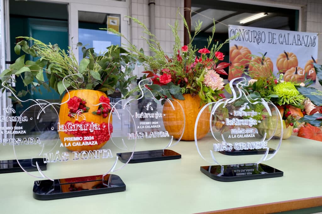 Concurso de calabazas