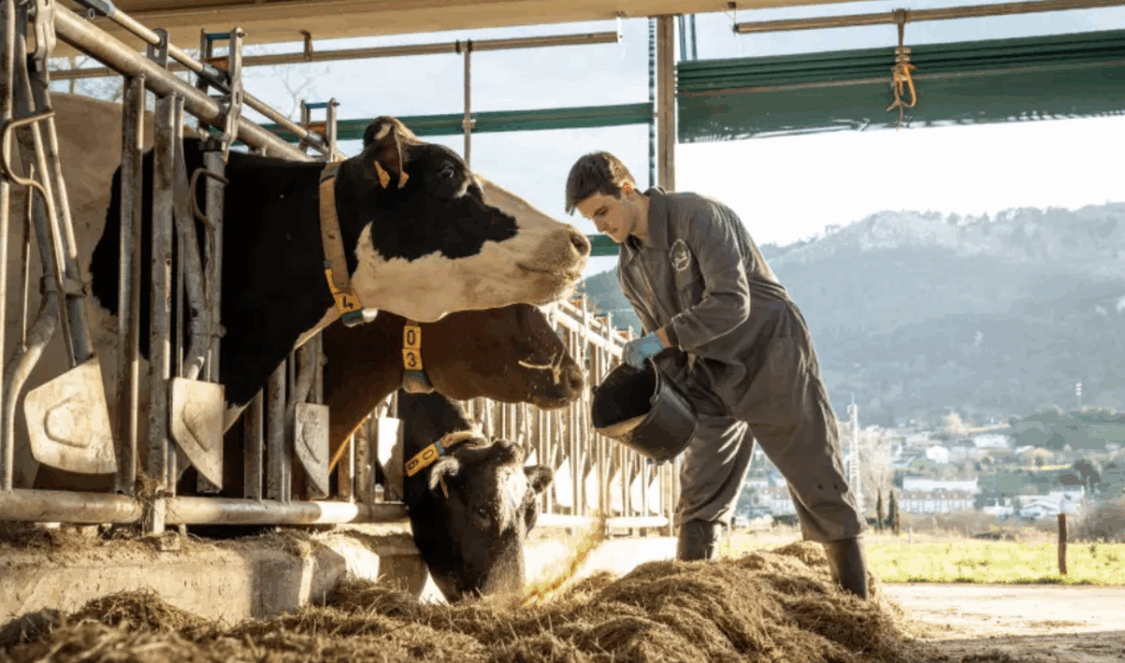 Técnico Superior en Ganadería y Asistencia Animal