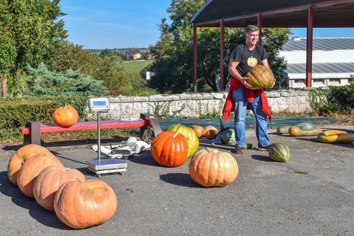 Concurso de calabazas 2025
